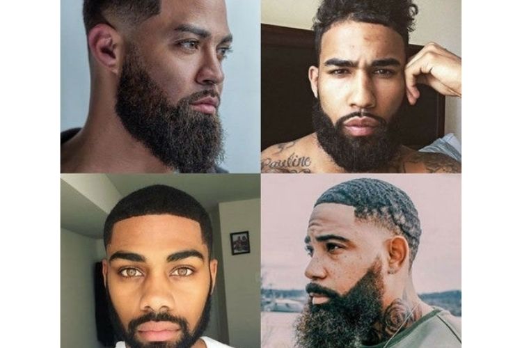 les différents types de barbes 